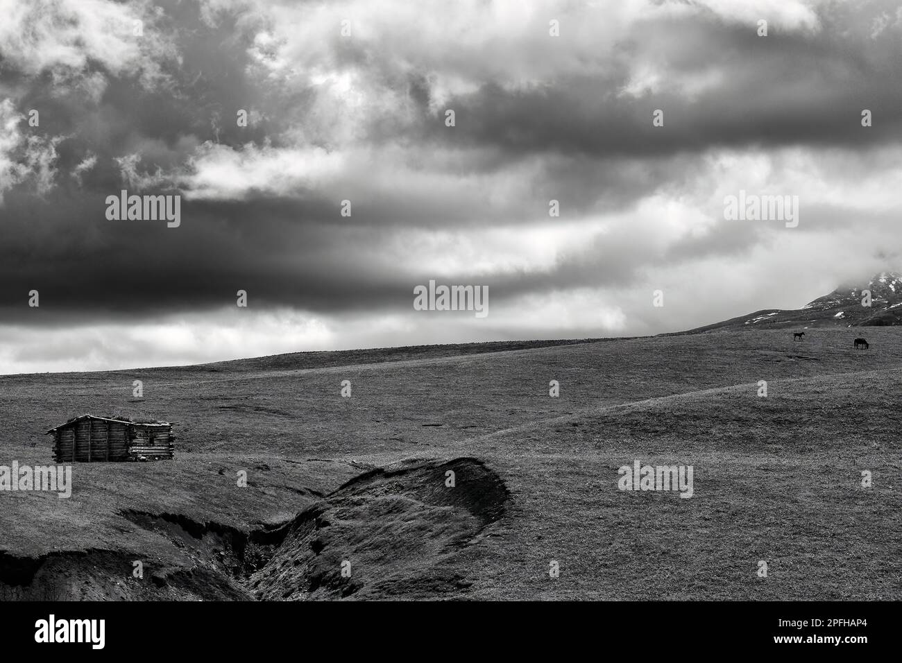 Qiongkushtai in Xinjiang, a small Kazakh village which has a vast grassland and leisurely horses and sheep. Stock Photo