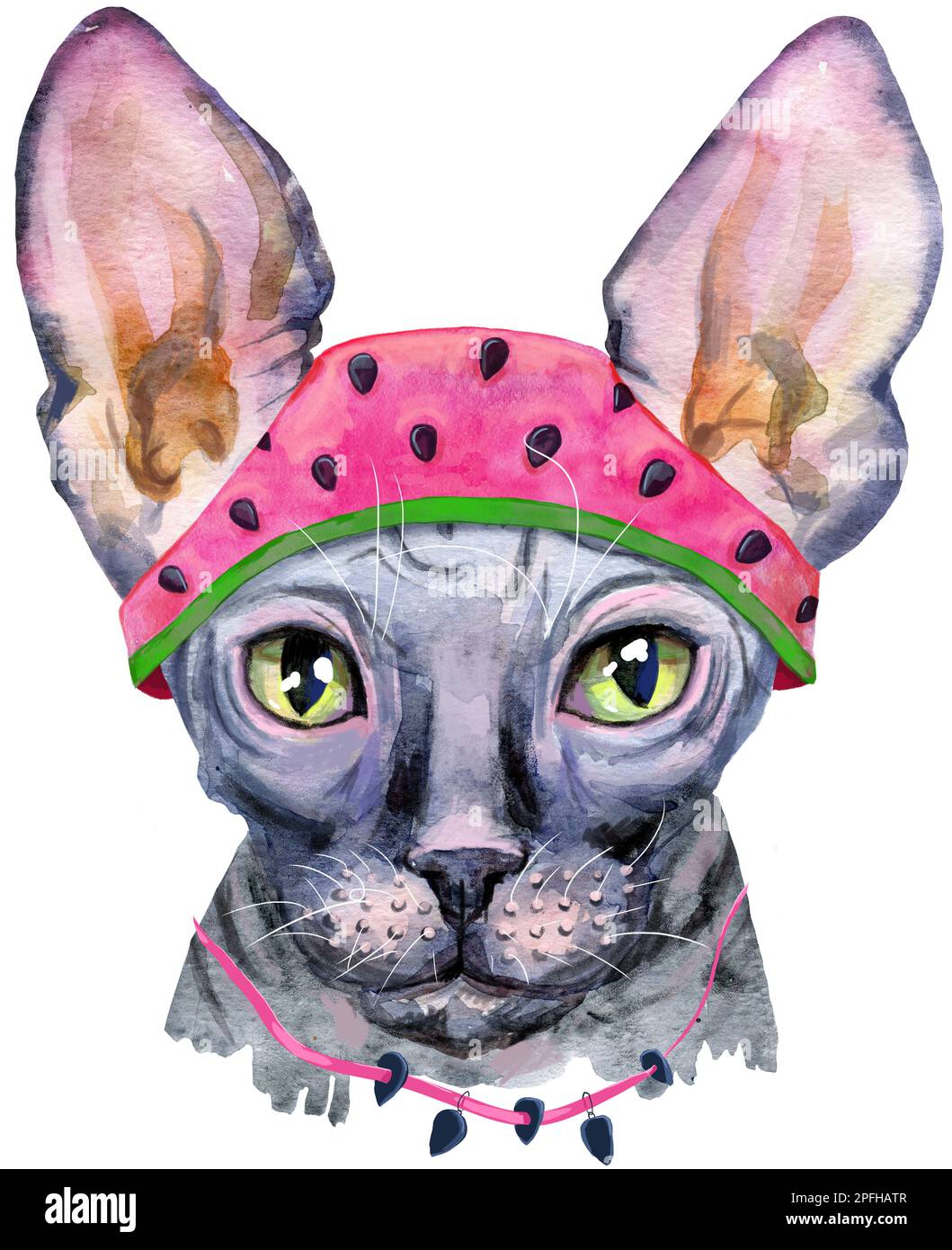 Cute cat in a watermelon hat. Cat for tshirt graphics. Watercolor Sphynx cat breed illustration