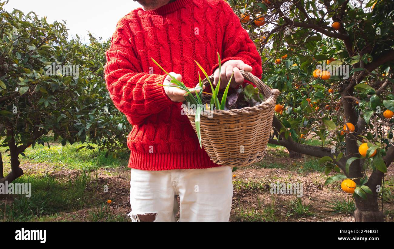 Peasantman Peasant man holding a wicker basket full of fresh vegetables. He basket ...