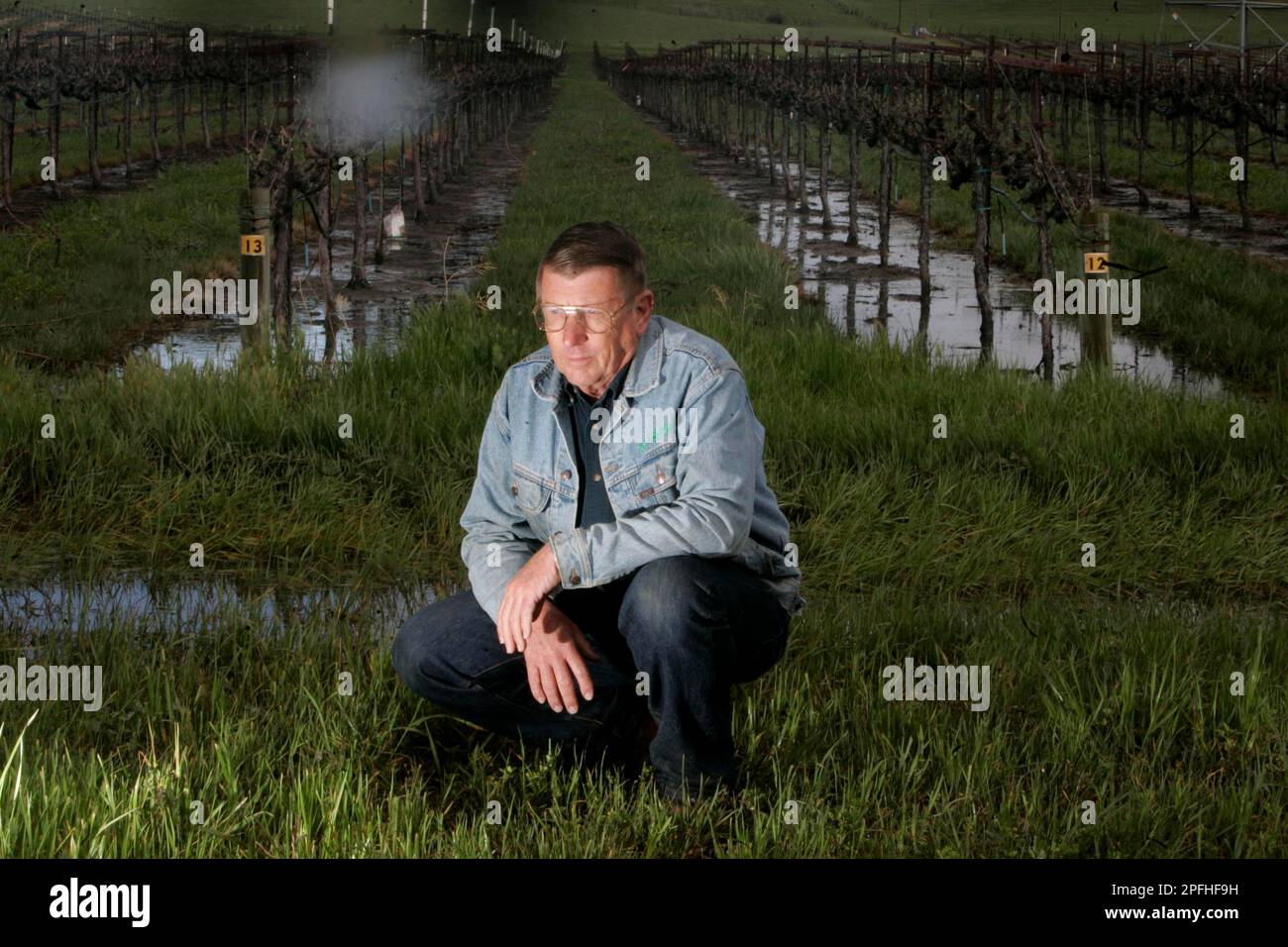farmers06 166 ls.JPG Bob Hansen at his orchard in Suisun Valley. Weeks of  rain are threatening an array of California crops from tomatoes to  strawberries. Bob Hansen, a Solano County fruit grower