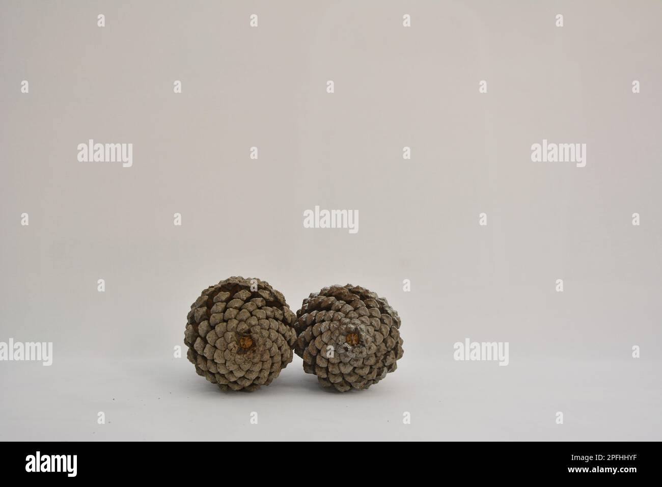Pine cone used in ornaments or Christmas decoration. Selective focus. White background. bottom view Stock Photo