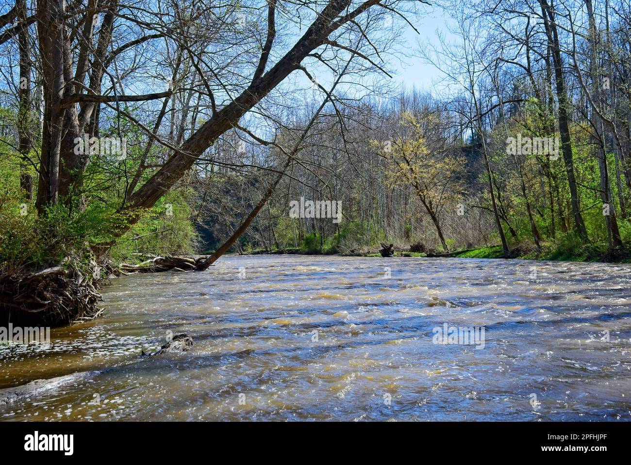 The Chagrin River in Northeast Ohio is cresting just short of flood stage after heavy rains in early spring. Stock Photo