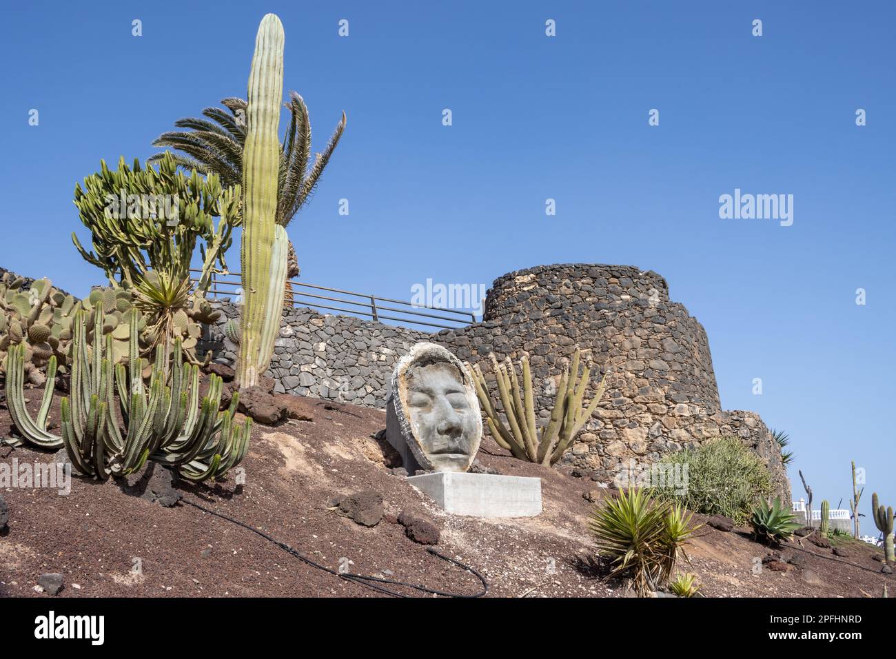 Various kinds of cactuses, growing in a park at Fabrica de Callao de los Pozos. Statue of a face. Coast of the Atlantic ocean. Bright blue sky. Puerto Stock Photo