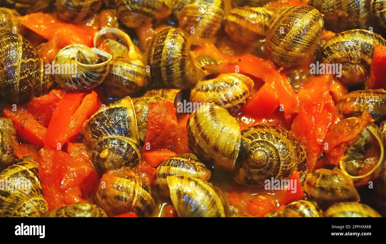 Pot of snails in tomato sauce and red pepper Stock Photo Alamy