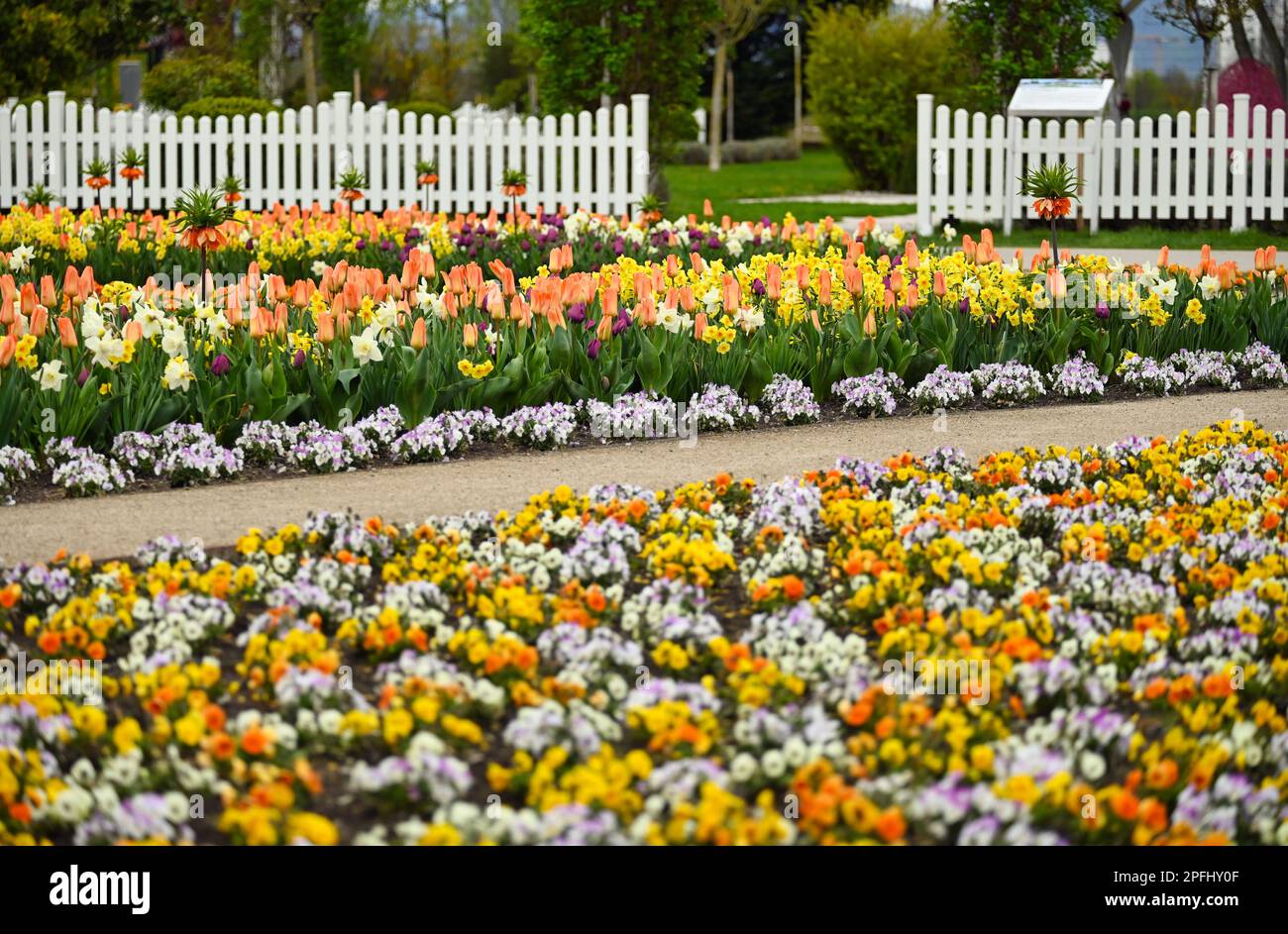 Colorful garden with spring flowers in Vienna Stock Photo Alamy