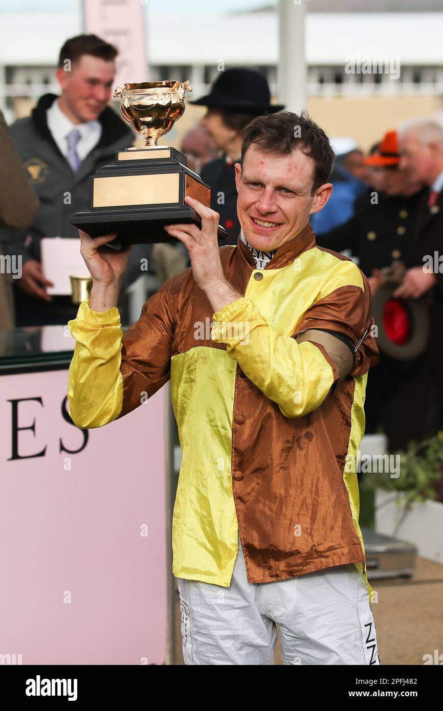 Jockey Paul Townend poses with the trophy as Galopin Des Champs J: Paul Townend T: Willie Mullins wins the Cheltenham Gold Cup during Day 4 of the Cheltenham Festival at Prestbury Park, Cheltenham, UK on 14 March 2023. Photo by Ken Sparks. Editorial use only, license required for commercial use. No use in betting, games or a single club/league/player publications. Credit: UK Sports Pics Ltd/Alamy Live News Stock Photo