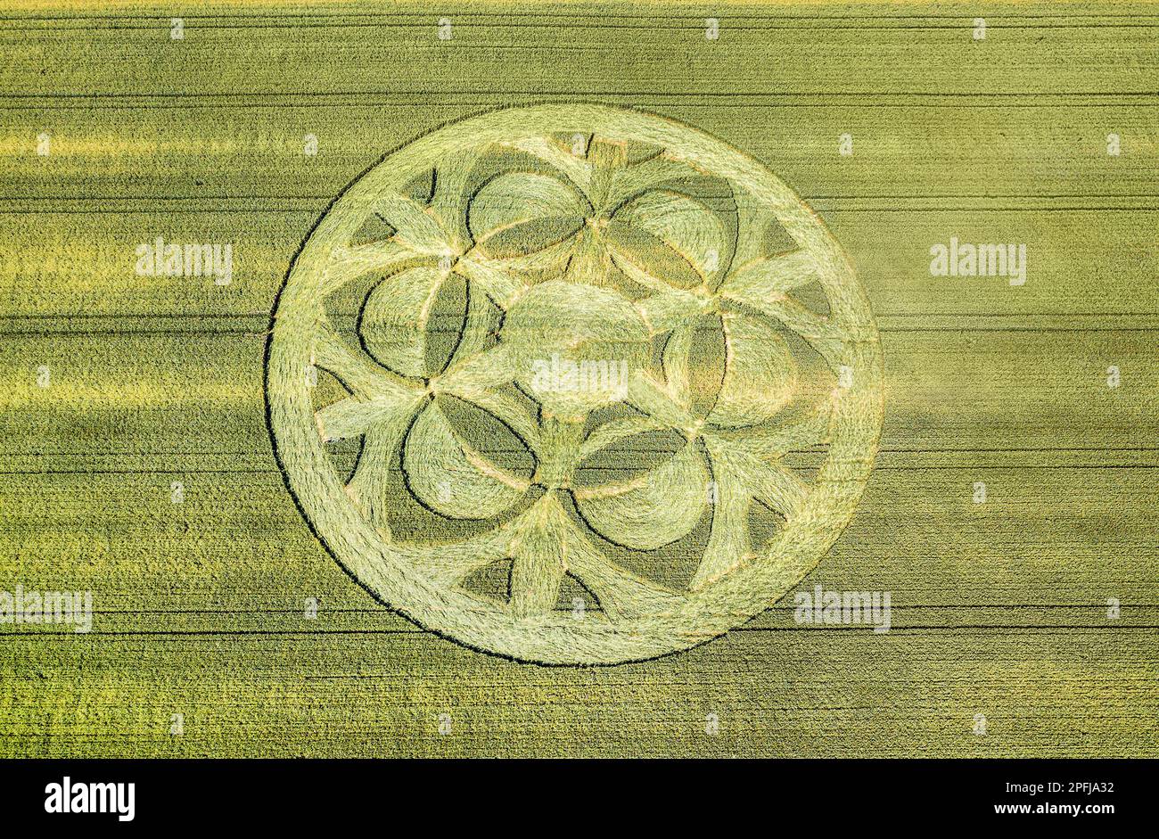Canton Bern, Switzerland - July 05, 2019: mysterious crop circle emerged overnight in wheat field with beautiful pattern. Stock Photo