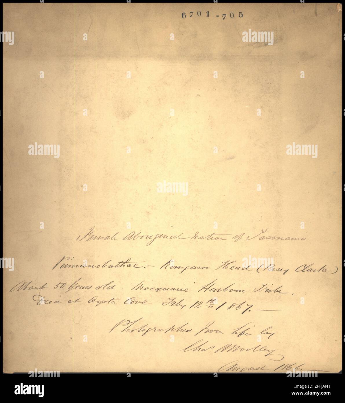 A female Aboriginal native of Tasmania, name Pimanobathac, Kangaroo