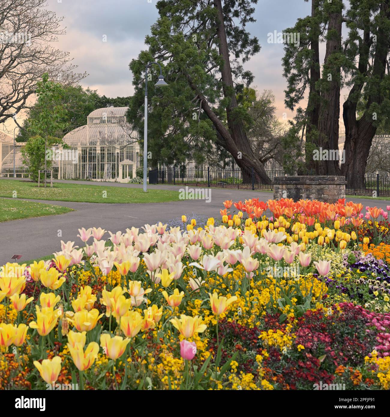 The National Botanic Gardens of Ireland. Spring in Dublin Stock Photo