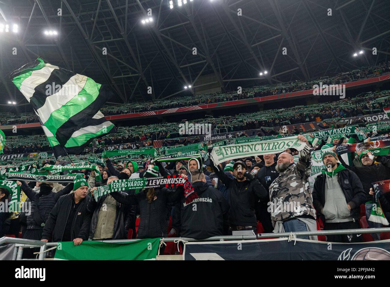 Ferencváros Fans 