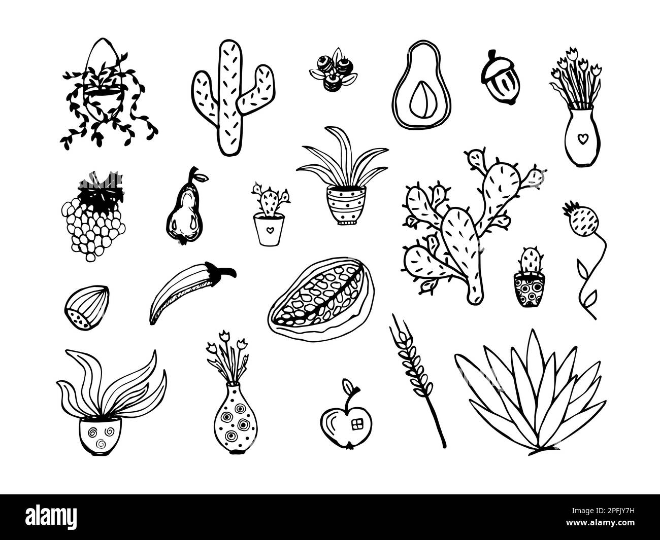Different types of plants, black doodle set Stock Vector
