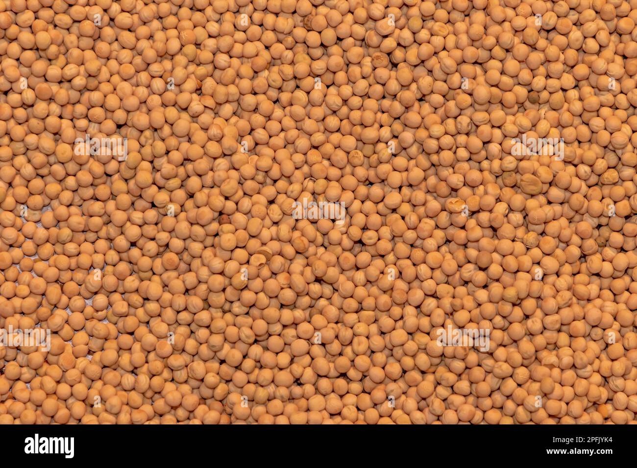 Large pile of dried soybeans legume food on agricultural market Stock