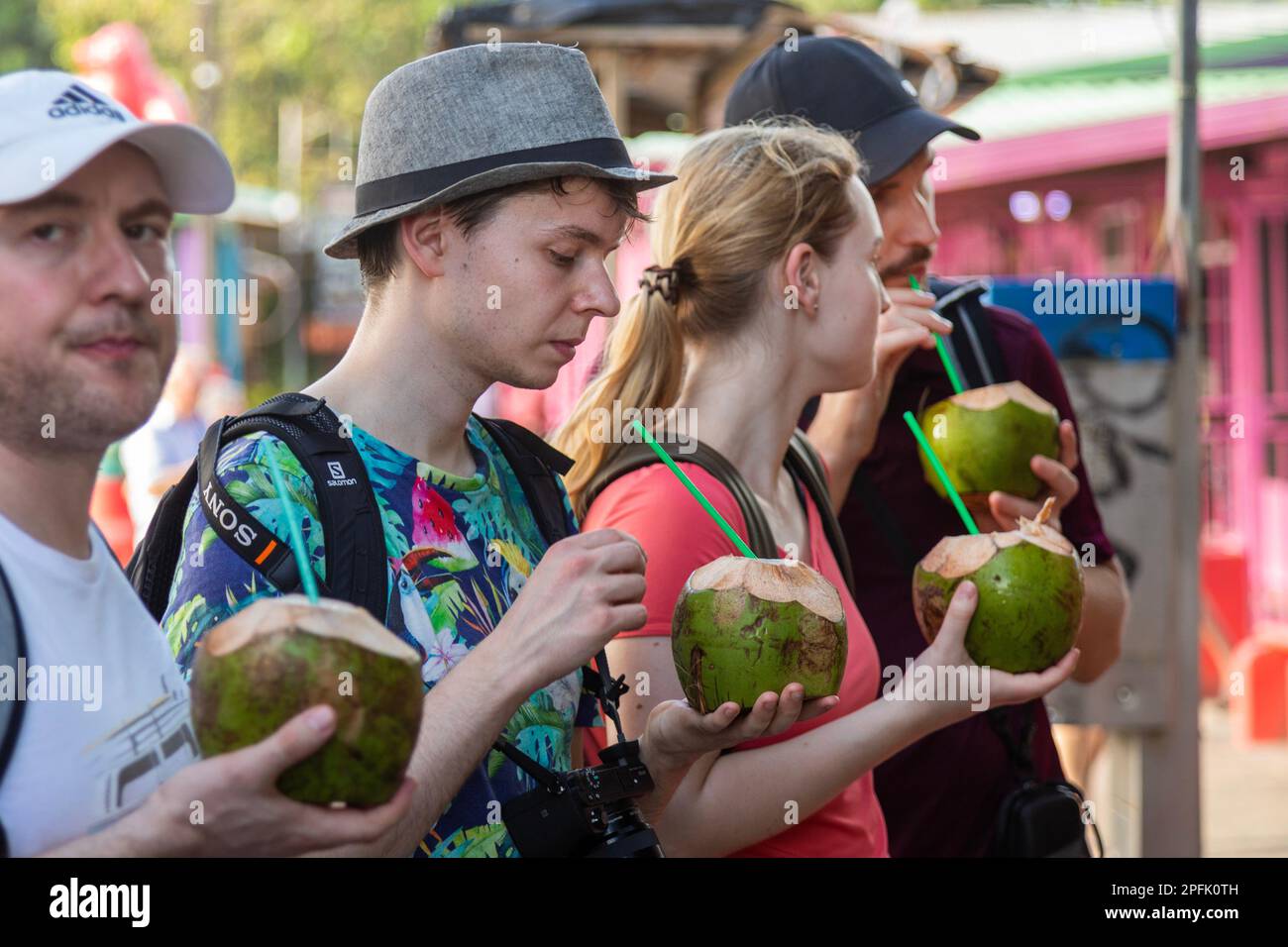 Tortuguero, Costa Rica Tourists drink coconut water from green
