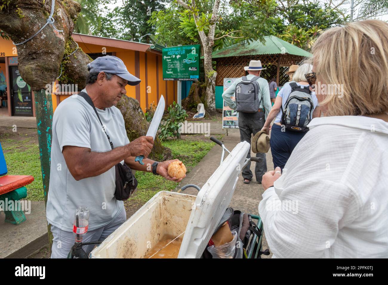 Tortuguero, Costa Rica - A street vendor cuts open a coconut for a tourist in this small village on the Caribbean coast. The refreshing coconut water Stock Photo