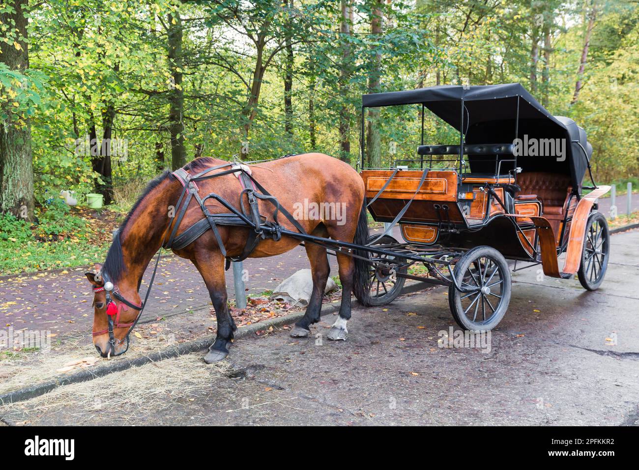 Vintage horse coach hi-res stock photography and images - Alamy