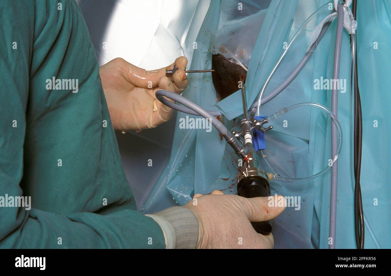 horse undergoing surgical operation at equine hospital Stock Photo