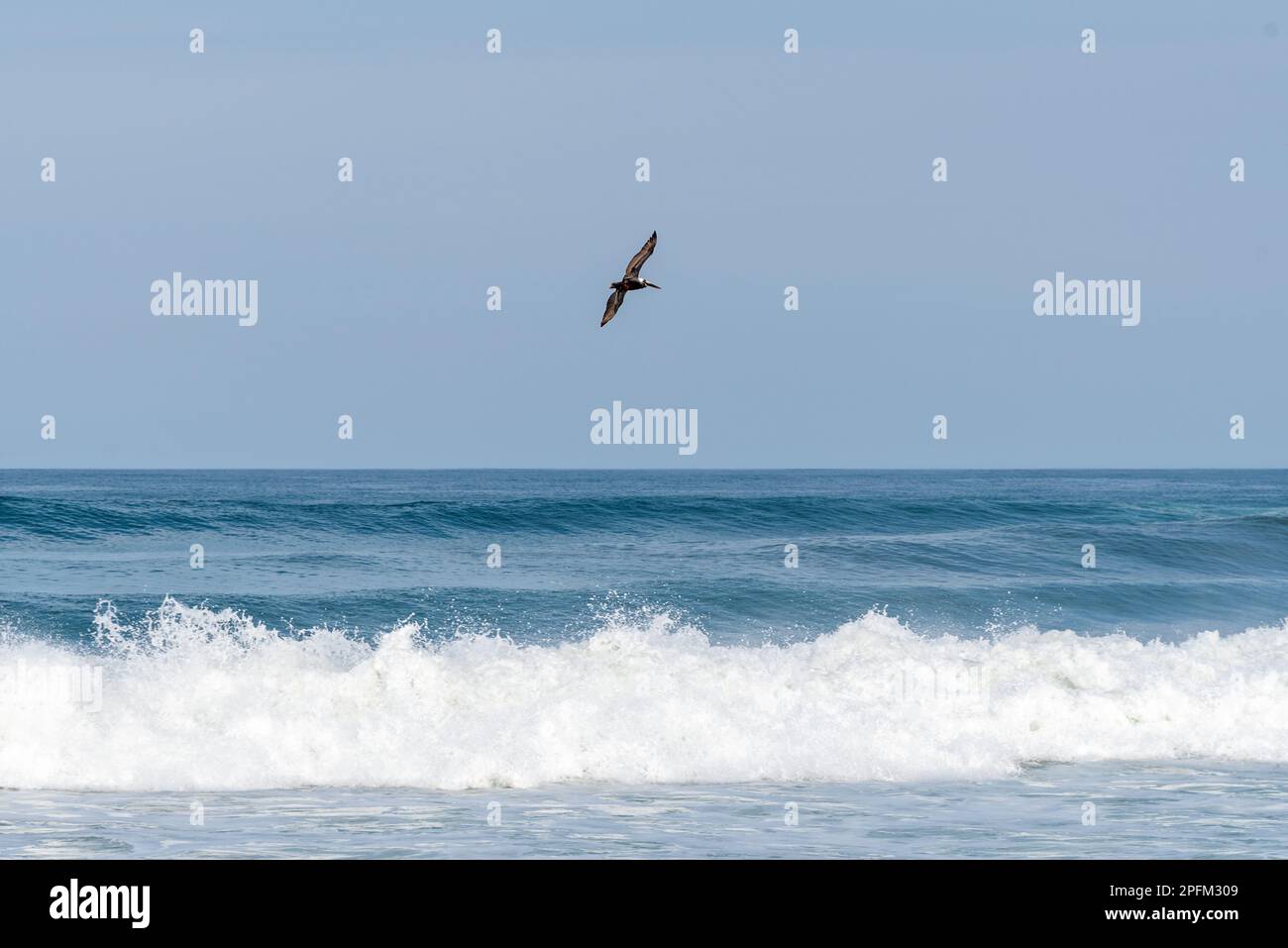 Outer Banks, North Carolina Stock Photo Alamy
