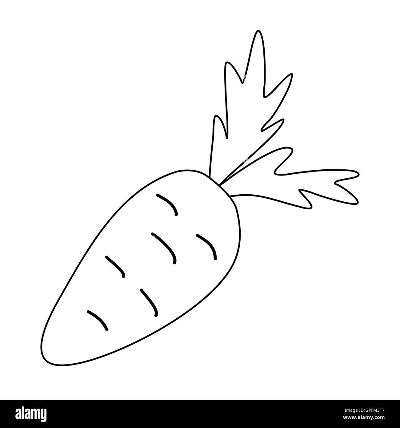 Fresh crunchy carrot with leaves, doodle style flat vector outline illustration for kids coloring book Stock Vector