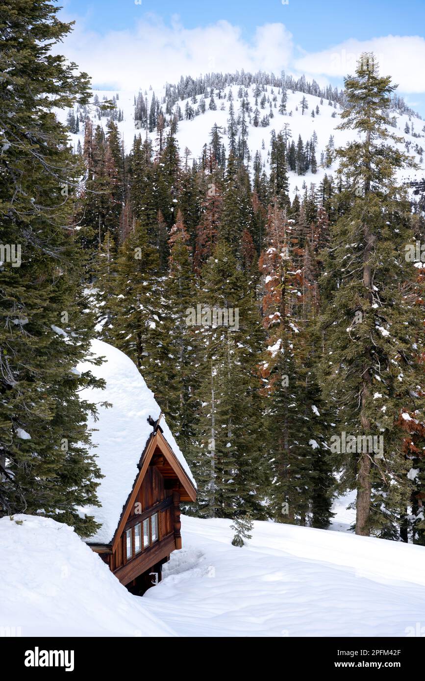 A mountain cabin buried under historic snow levels in Bear Valley, California. Stock Photo