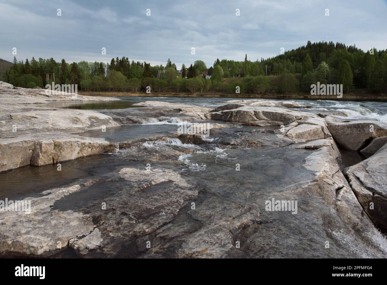 Laksforsen cascade in Grane municipality in Nordland Province in Norway  running over some 17 meter high cascades over a rocky stretch Stock Photo -  Alamy