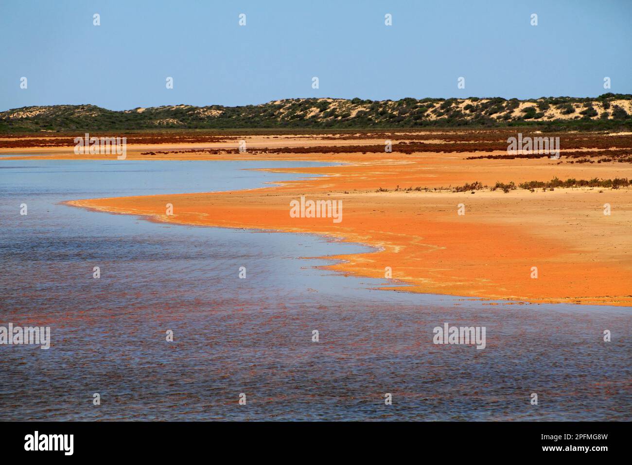 Red sandy coastline, Northwest Australia Stock Photo