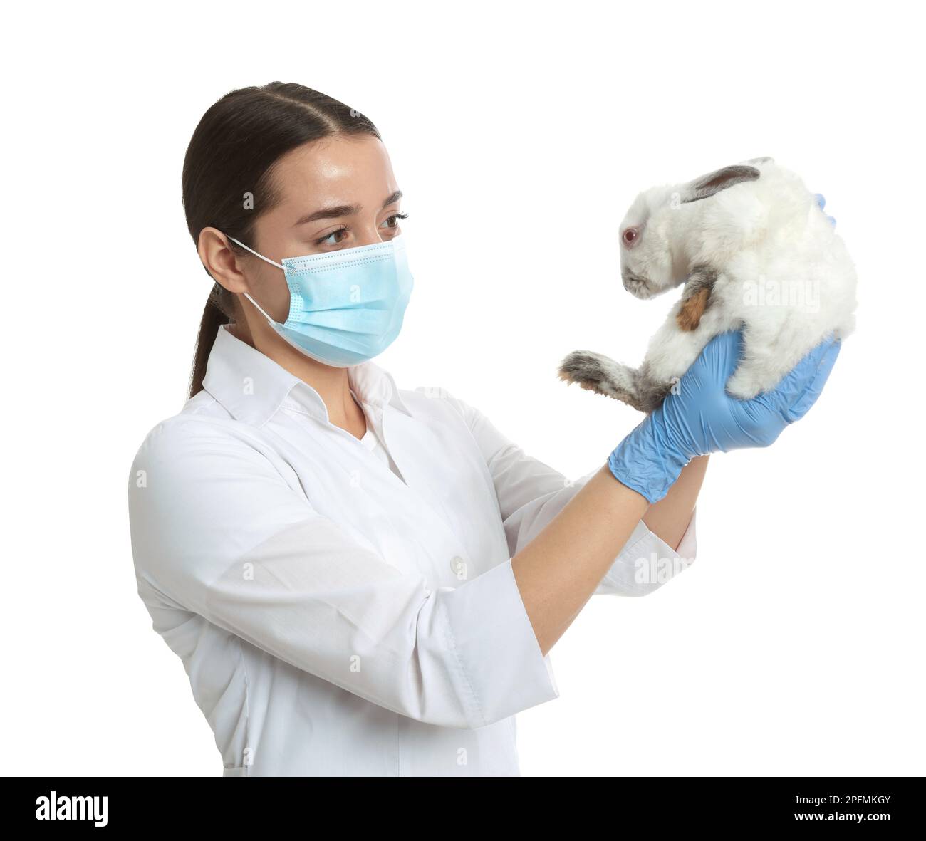 Scientist holding rabbit on white background. Animal testing concept ...