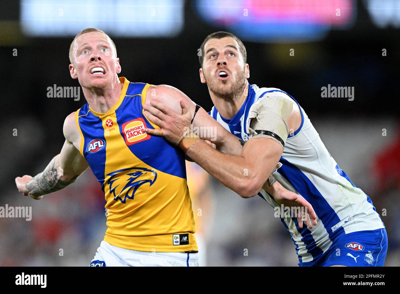 Bailey Williams of West Coast (left) and Tristan Xerri of North ...
