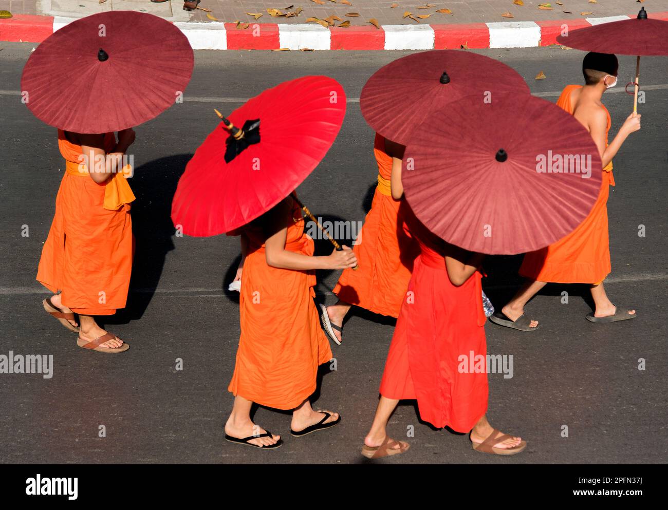 Buddhist monks with umbrellas at a temple ceremony, Wat Phra Singh  Chiang Mai, Thailand Stock Photo