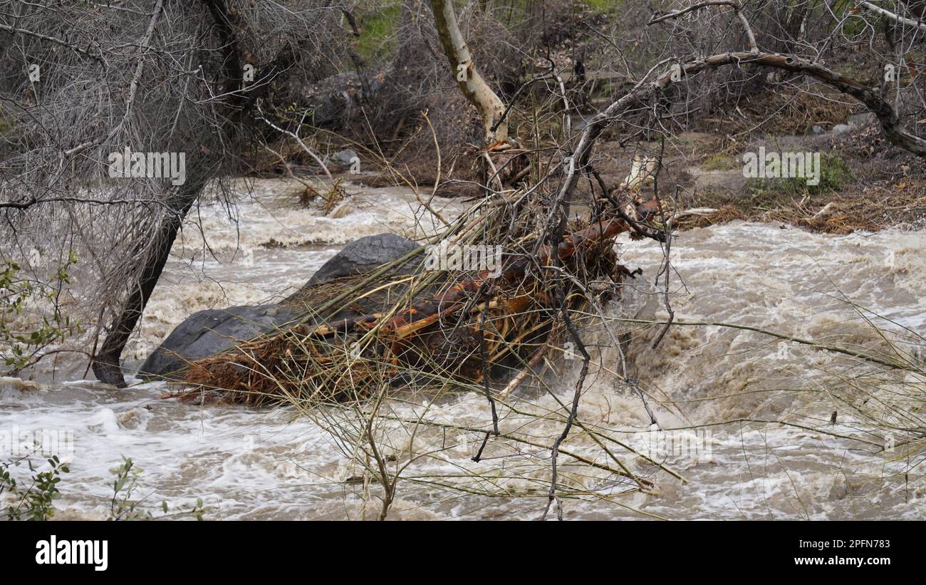 Tule River Stock Photo