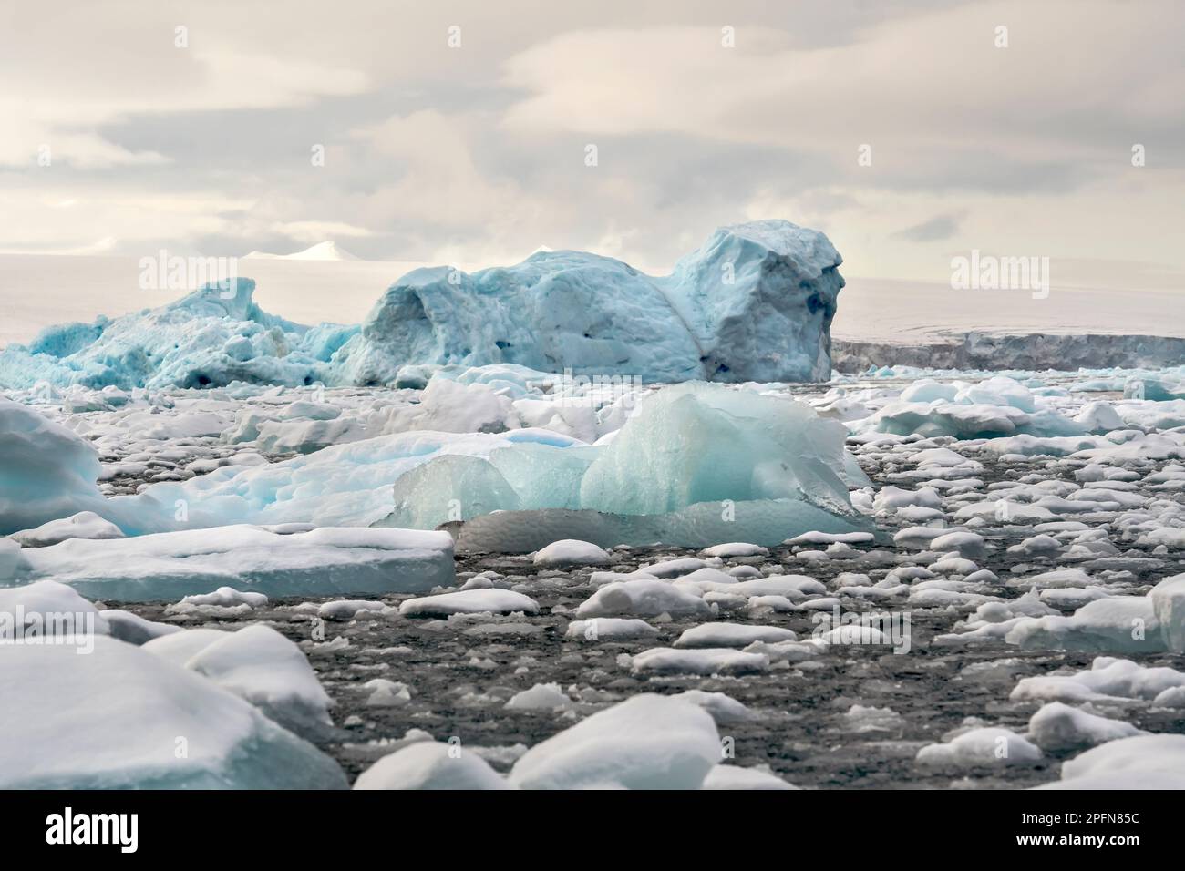 Antarctic Peninsula Icebergs Stock Photo Alamy antarctic-peninsula-icebergs-stock-photo-alamy