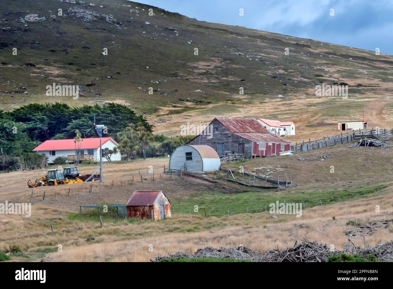 Falkland Islands, Carcass island. Farm Stock Photo