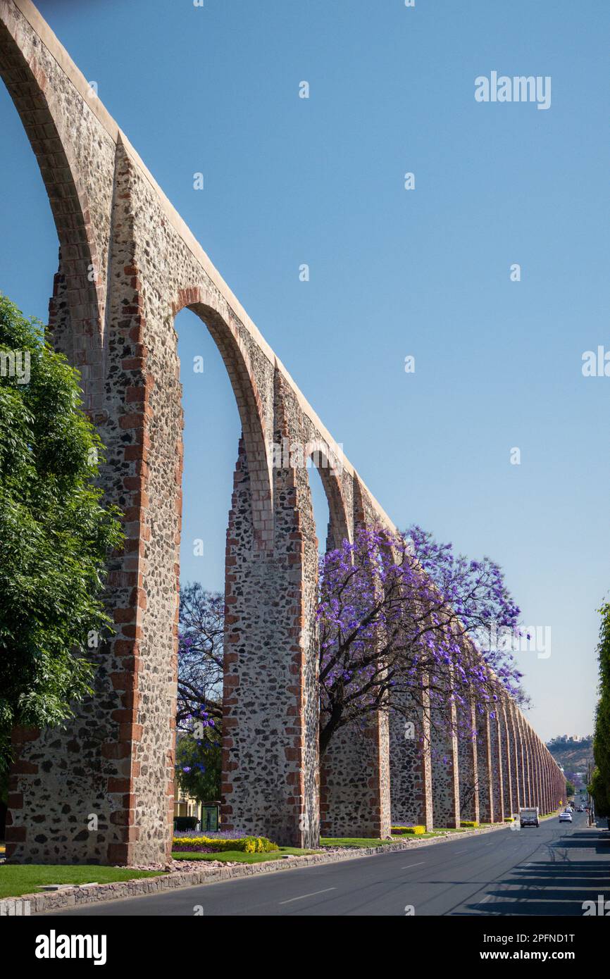 A Queretaro Mexico aqueduct with jacaranda tree and purple flowers