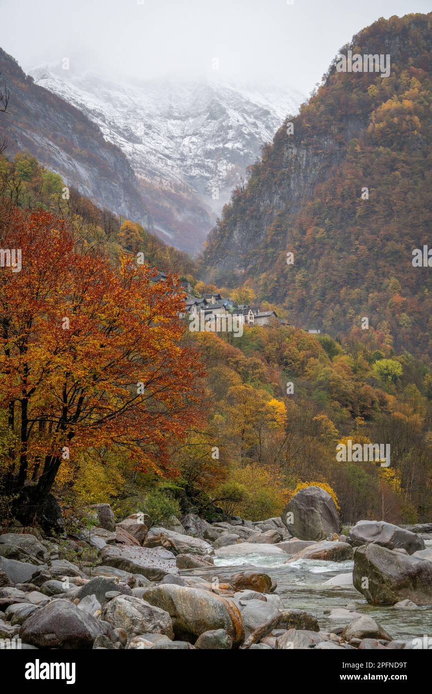 Rainy summer korea hi-res stock photography and images - Alamy
