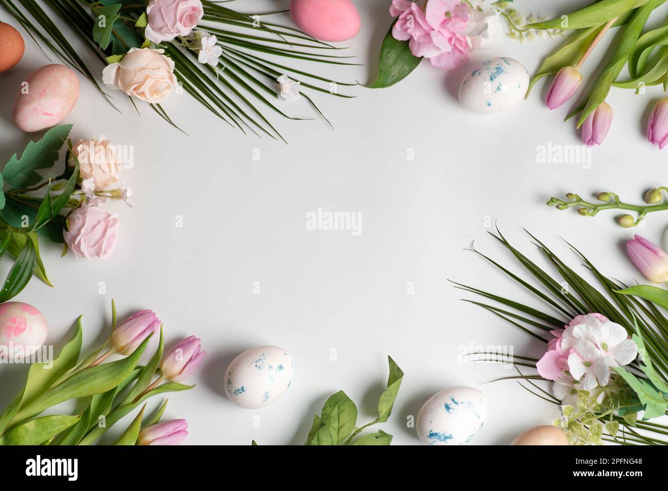 Easter card with spring rose and tulip flowers and painted Easter eggs top view flat lay on white background Stock Photo
