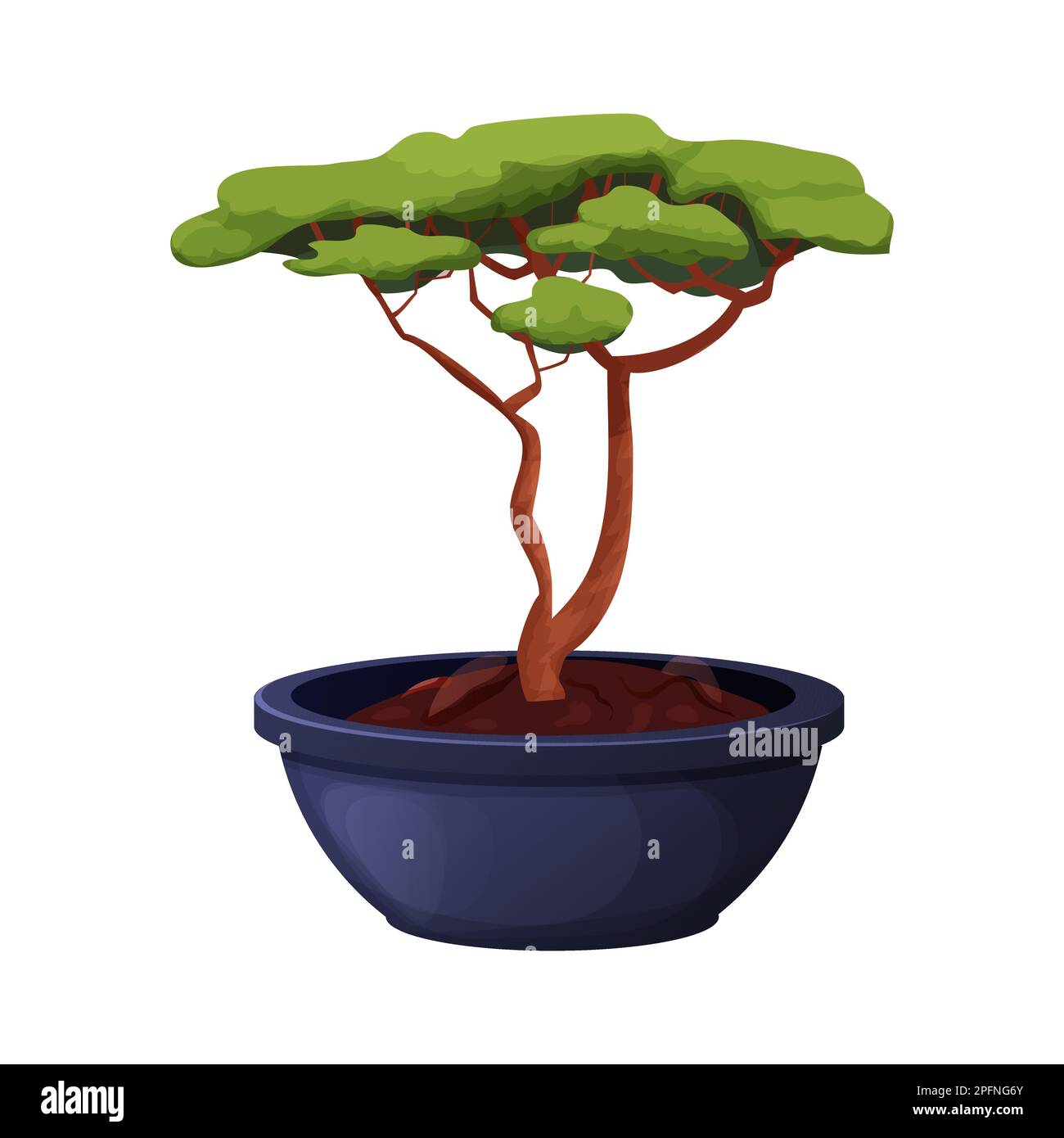 Bonsai tree with twisted trunk, foliage in ceramic pot in cartoon style, asian mini plant