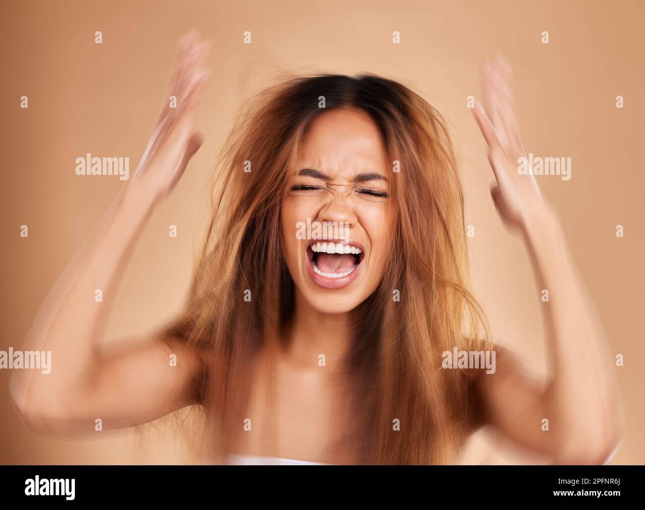 Anger, screaming and woman with hair loss in studio isolated on a brown background. Haircare, damage and upset female model shouting after salon Stock Photo