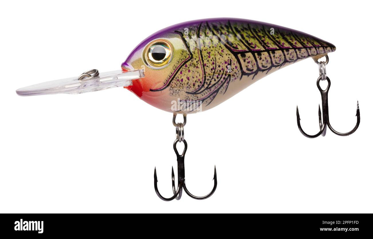 Crankbait for largemouth bass fishing that is purple on top with yellow  belly Stock Photo - Alamy
