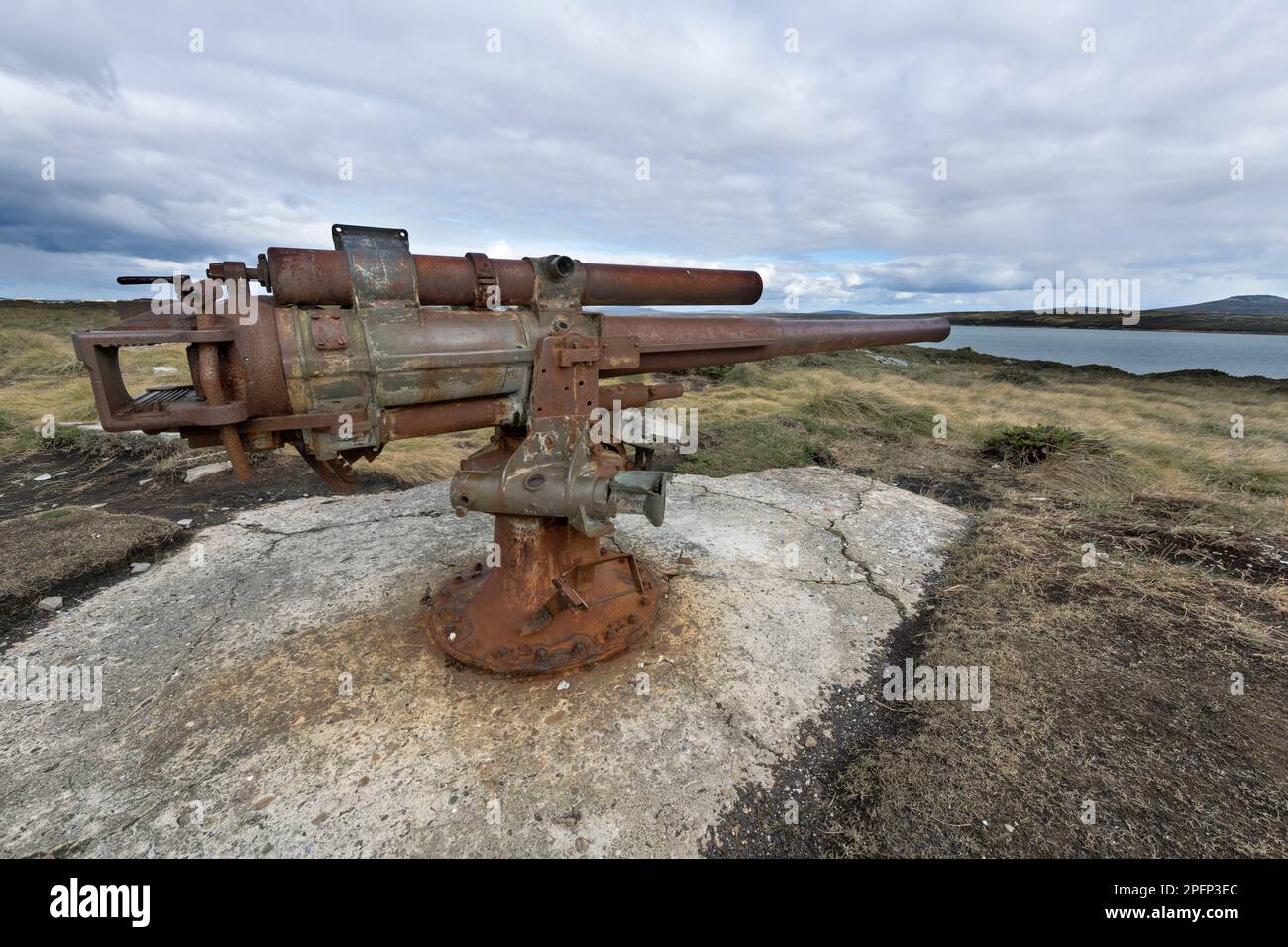 Falkland, Carcass island Stock Photo