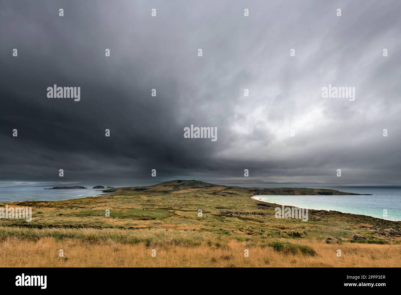 Falkland, Carcass island Stock Photo
