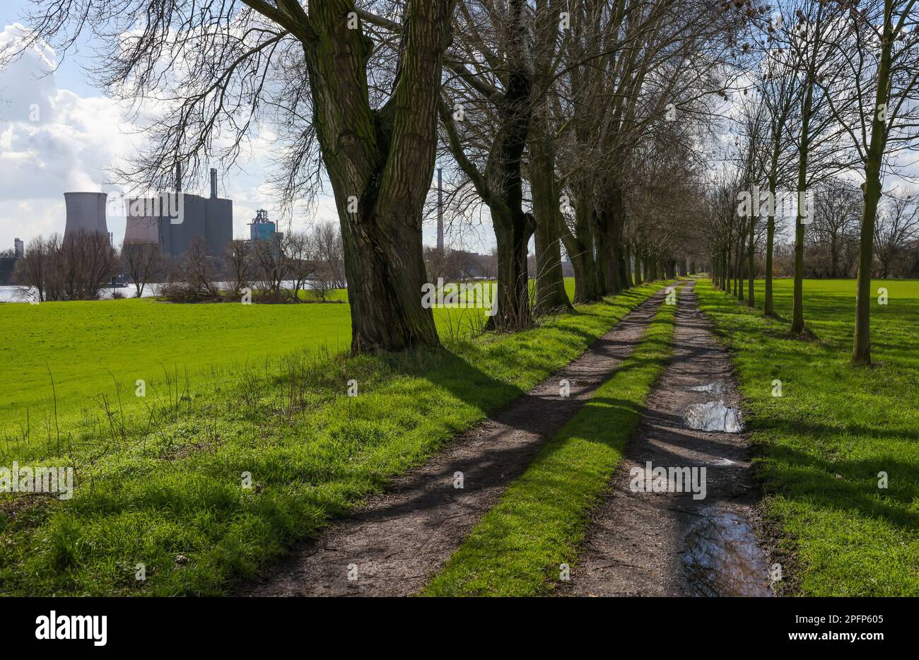 Duisburg, North Rhine-Westphalia, Germany - industrial landscape, walkway on the banks of the Rhine at Duisburg harbor in Rheinhausen, HKM Hüttenwerke Stock Photo