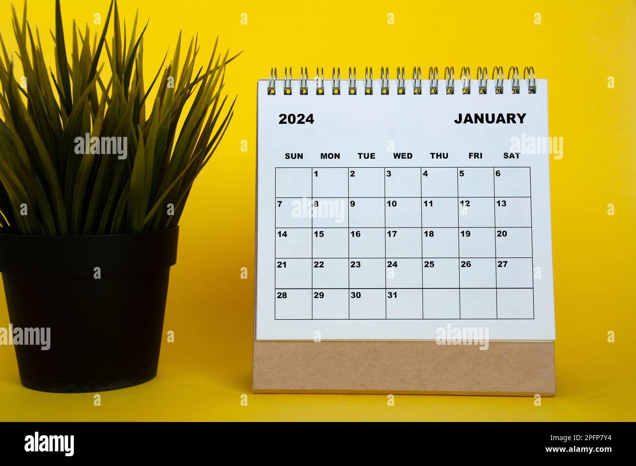 January 2024 month calendar with table plant on yellow cover background. Monthly calendar concept. Stock Photo