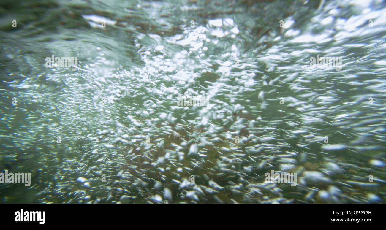 The impact of the river water produced many small white bubbles