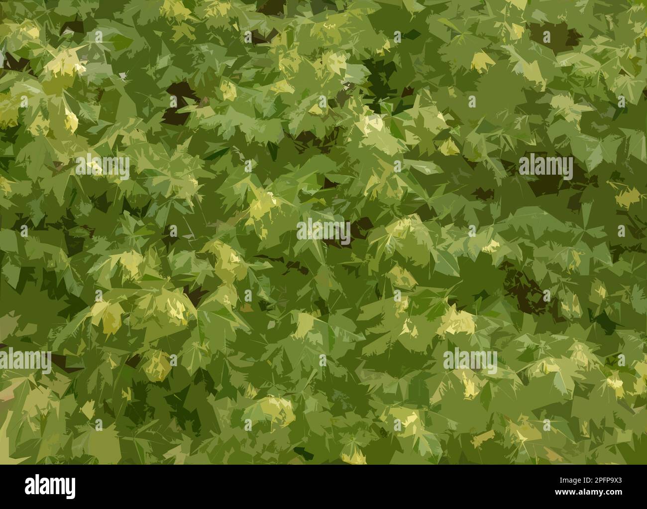 Closeup illustration of the garden tree Ptelea trifoliata or  hoptree seen with leaves and flowers. Stock Photo