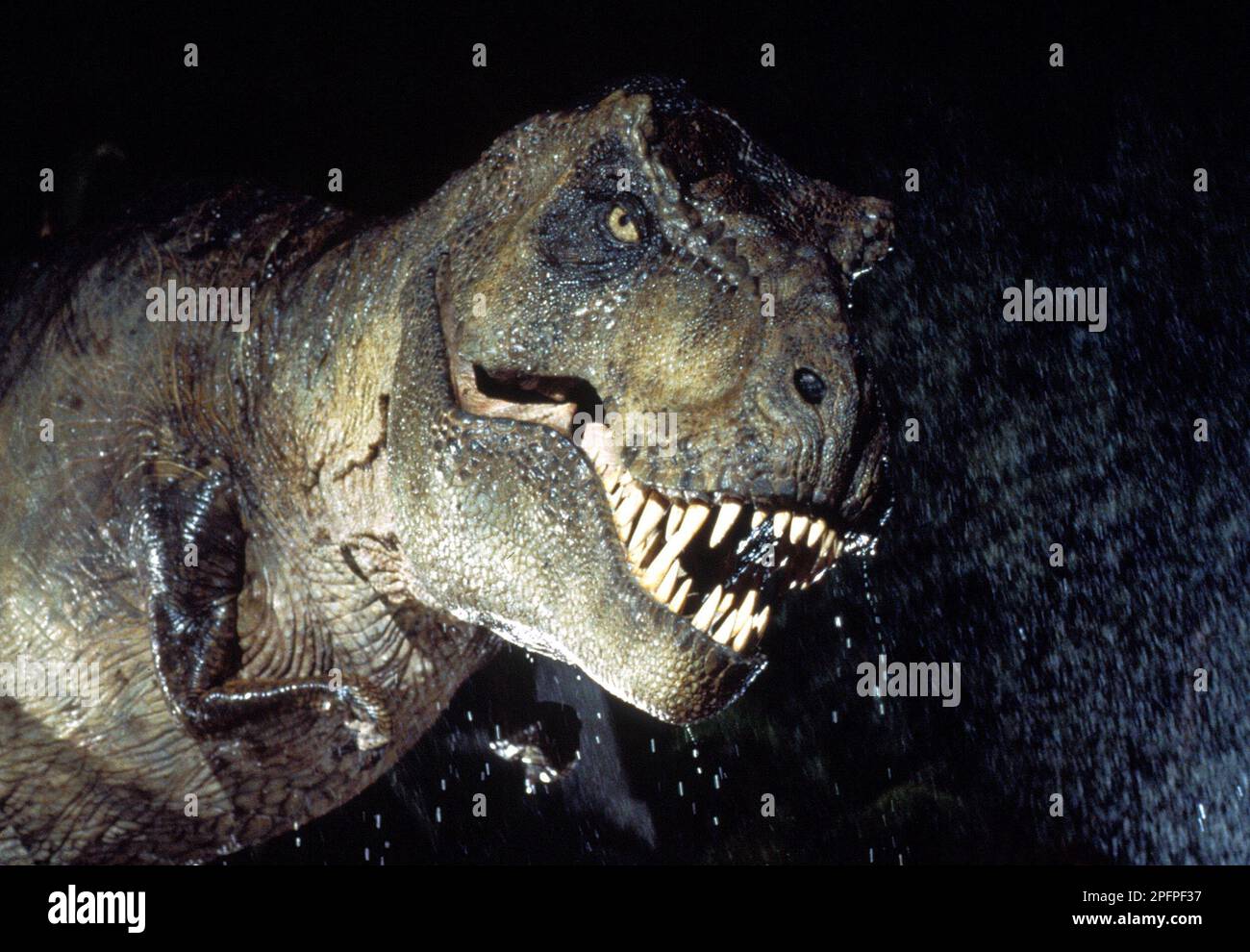 Jurassic Park  Tyrannosaurus Rex Stock Photo