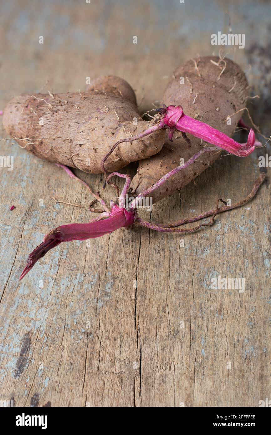purple yam on table top, dioscorea alata, aka ube, violet yam, water or greater yam, purple-fleshed tubers used in cuisine and traditional medicine Stock Photo