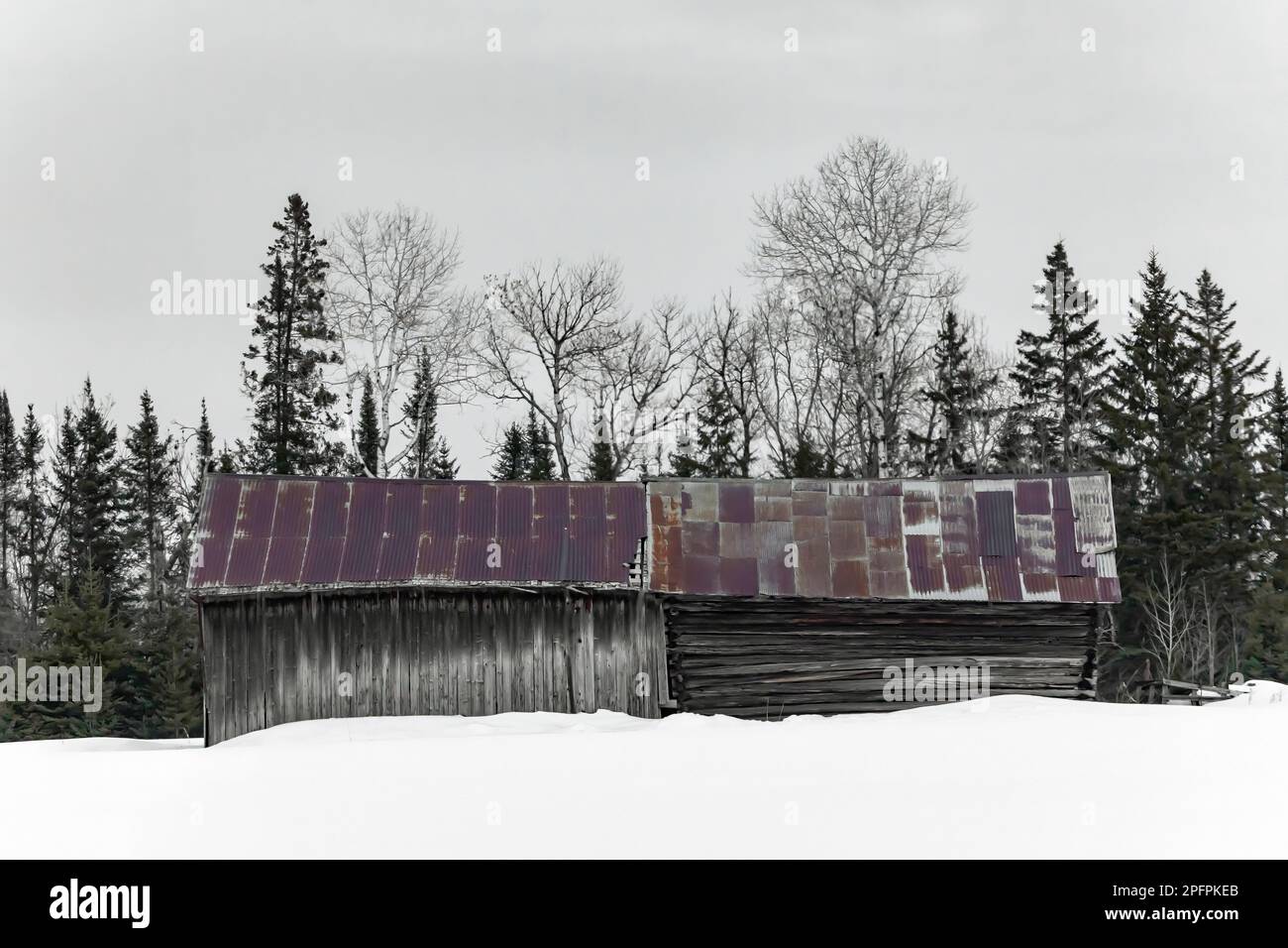 Old barn in SaxZim Bog, Minnesota, USA [No property release; editorial