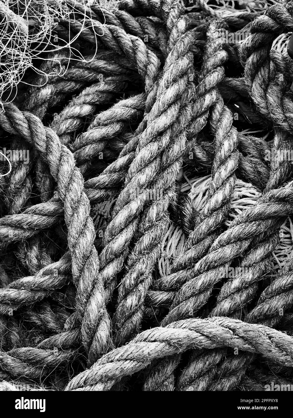 Rope Black and White Stock Photos & Images Alamy