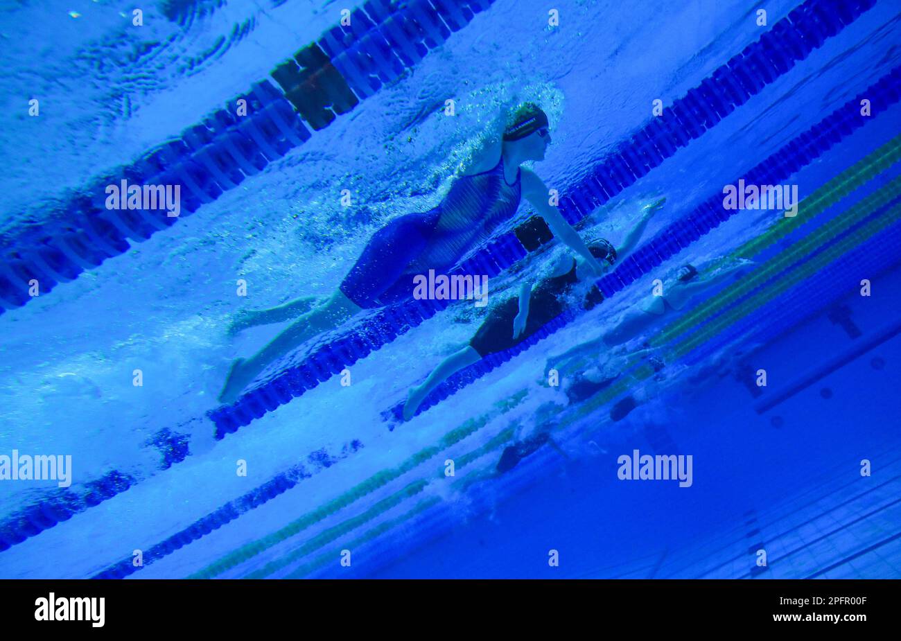 Great Britain's Evie Lambert in action during the Women's MC 400m freestyle heats on day three of the Citi Para Swimming World Series at Ponds Forge, Sheffield. Stock Photo