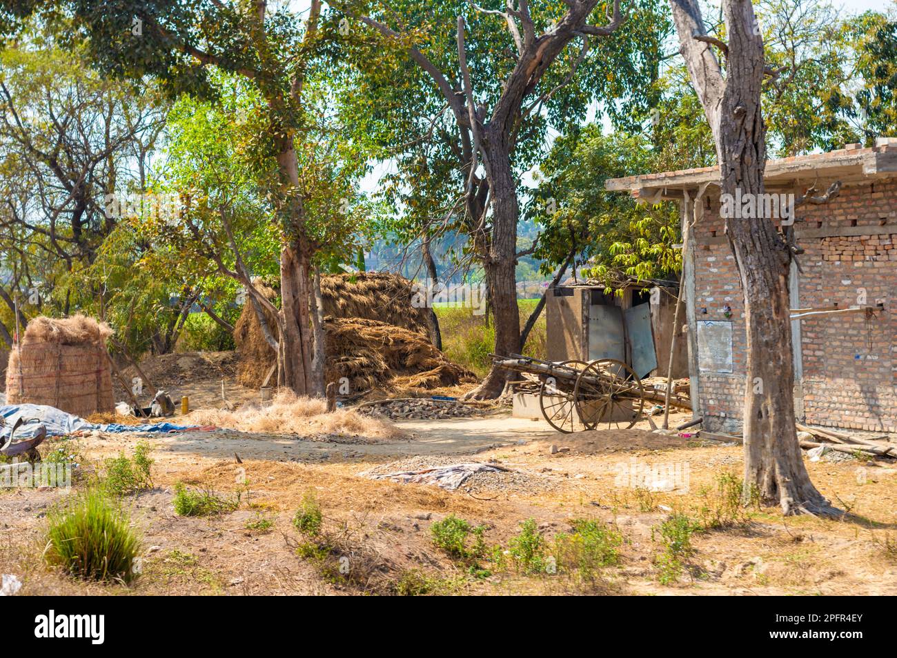 Typical hayloft in India. Haystack and farmer's house. Collection of