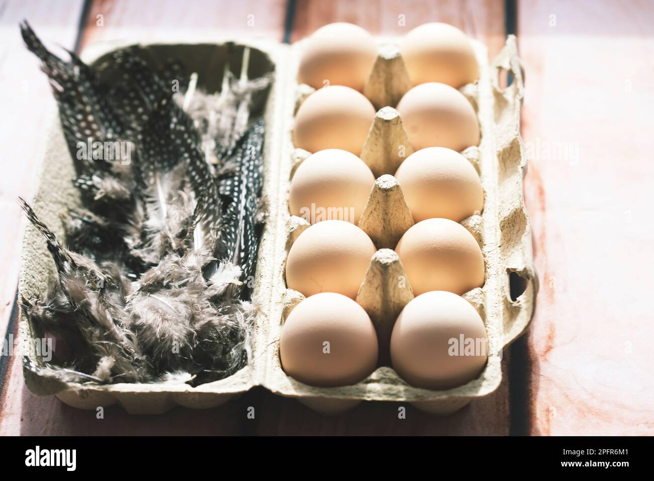 Eggs in egg box with feather Stock Photo